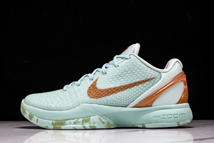 Nike Zoom Kobe 6 PE2025-109