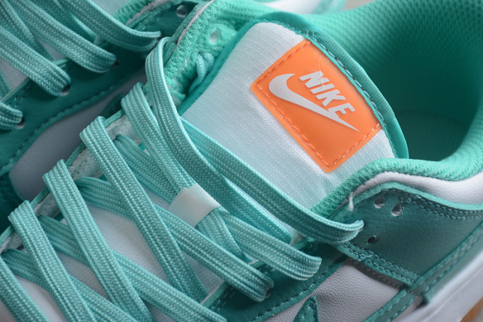 nk dunk sb low   2190-100