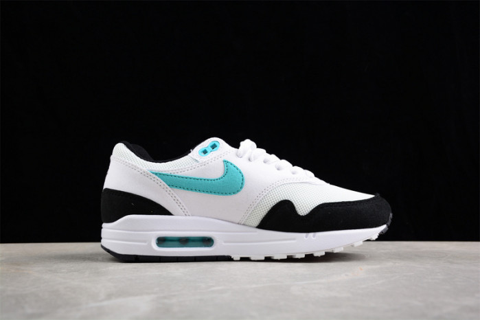 nike air max 1     dz3307-114