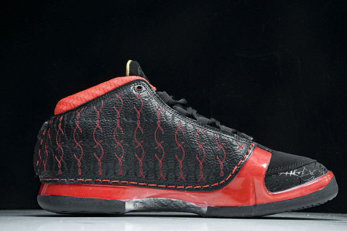 Titan x Air Jordan 23 
